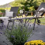 Geniessen- Entspannen- Wohlfuehlen-komfortable - Weingut Erich Serwazi Apartment