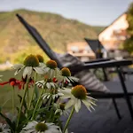 Geniessen- Entspannen- Wohlfuehlen-komfortable - Weingut Erich Serwazi *