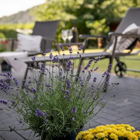 Geniessen- Entspannen- Wohlfuehlen-komfortable - Weingut Erich Serwazi Διαμέρισμα