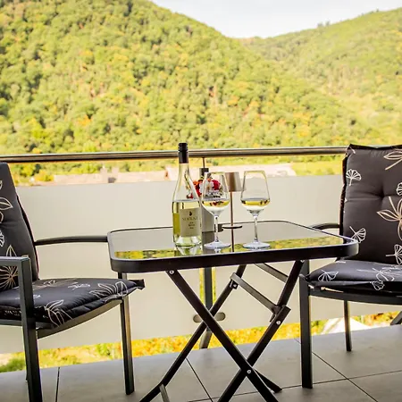 Genießen- Entspannen- Wohlfühlen-komfortable - Weingut Erich Serwazi Apartment *