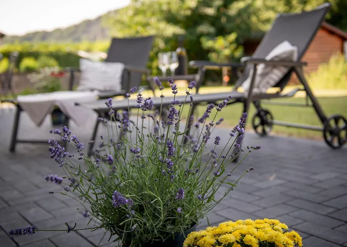 Geniessen- Entspannen- Wohlfuehlen-komfortable - Weingut Erich Serwazi Apartamento